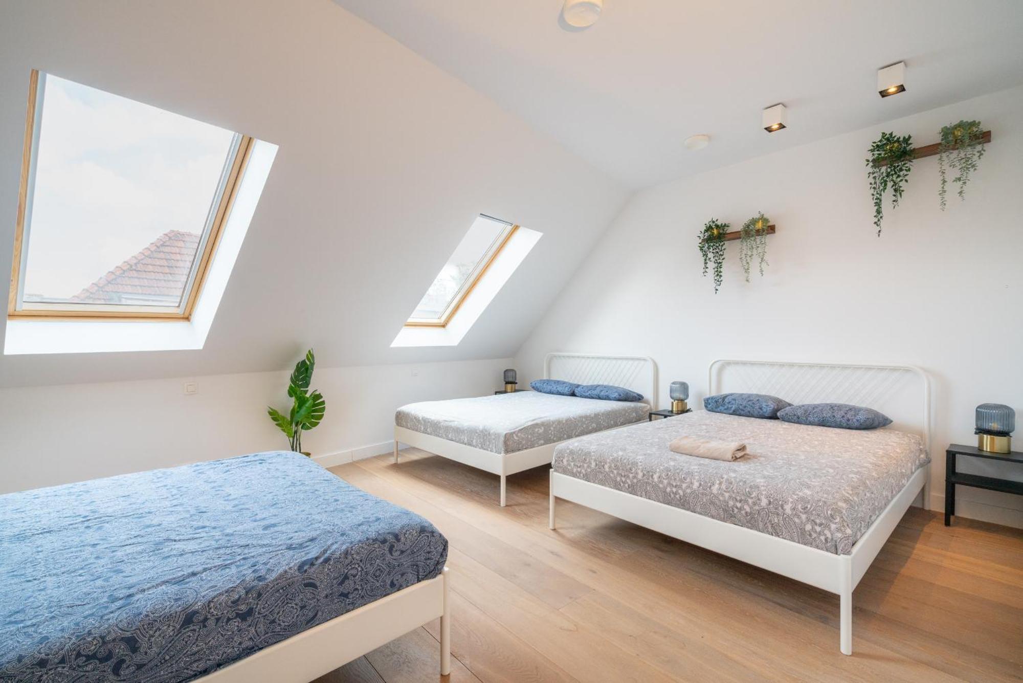 Apartment Light House. Heart Of アントウェルペン エクステリア 写真